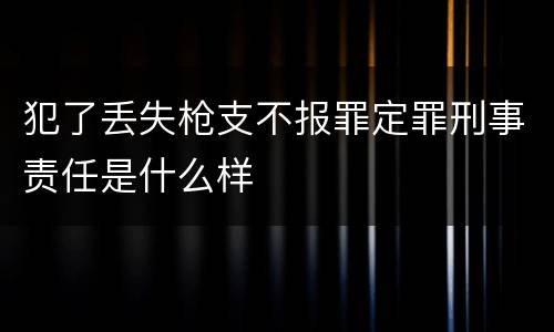 犯了丢失枪支不报罪定罪刑事责任是什么样