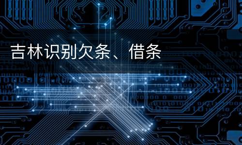 吉林识别欠条、借条