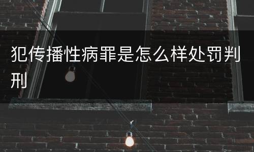 犯传播性病罪是怎么样处罚判刑