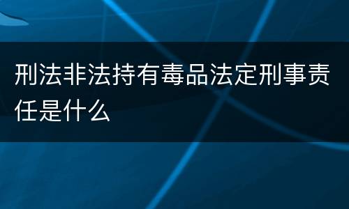 刑法非法持有毒品法定刑事责任是什么