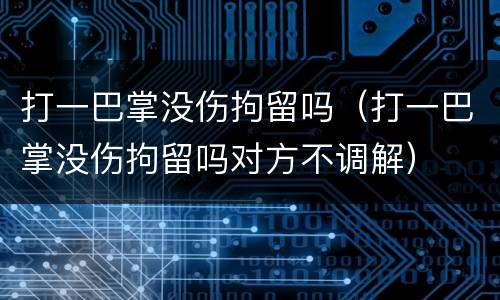 打一巴掌没伤拘留吗（打一巴掌没伤拘留吗对方不调解）