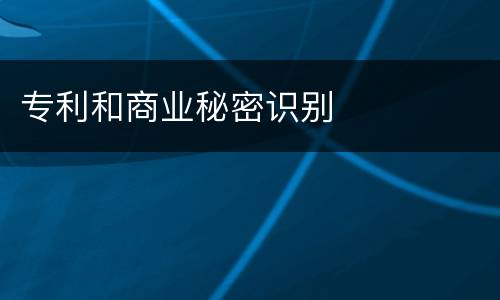 专利和商业秘密识别