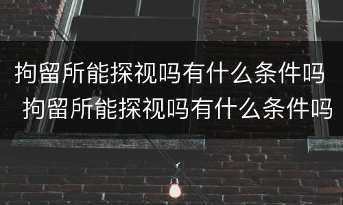 拘留所能探视吗有什么条件吗 拘留所能探视吗有什么条件吗知乎