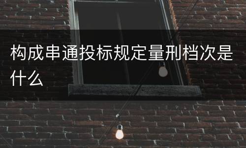 构成串通投标规定量刑档次是什么