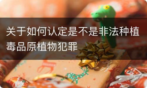 关于如何认定是不是非法种植毒品原植物犯罪