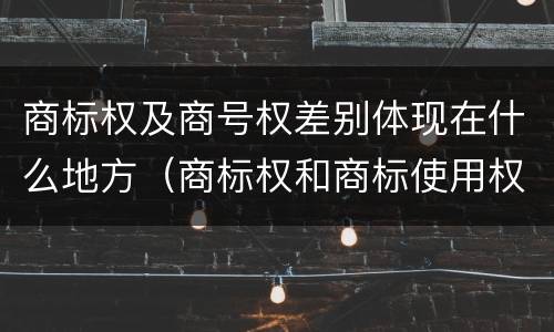 商标权及商号权差别体现在什么地方(商标权和商标使用权的区别)
