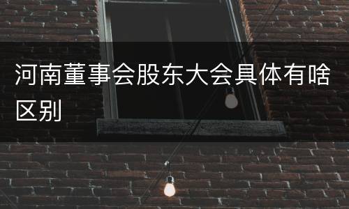 河南董事会股东大会具体有啥区别