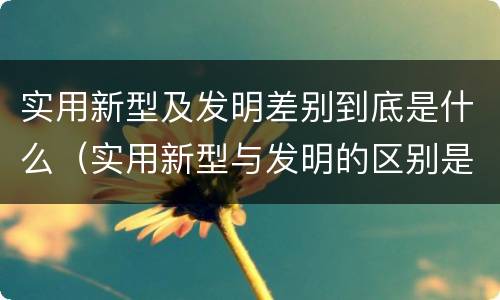 实用新型及发明差别到底是什么（实用新型与发明的区别是什么）