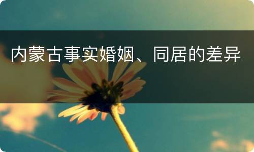 内蒙古事实婚姻、同居的差异