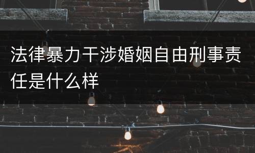 法律暴力干涉婚姻自由刑事责任是什么样