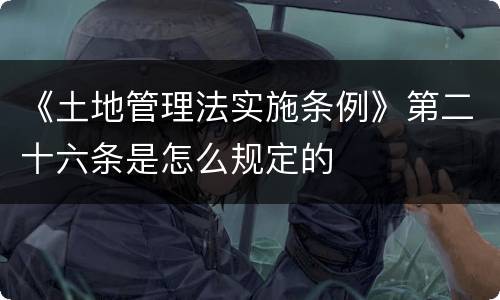 《土地管理法实施条例》第二十六条是怎么规定的