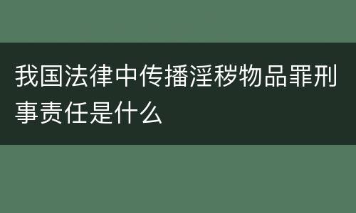我国法律中传播淫秽物品罪刑事责任是什么