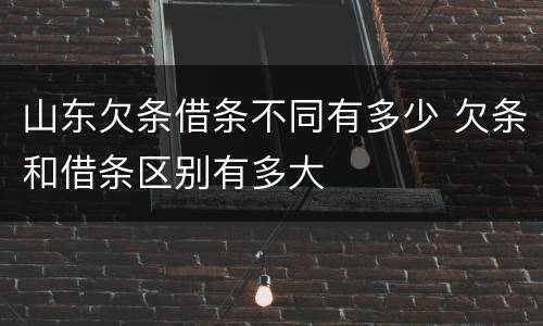 山东欠条借条不同有多少 欠条和借条区别有多大