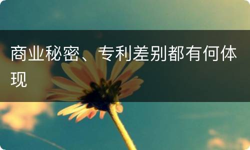 商业秘密、专利差别都有何体现