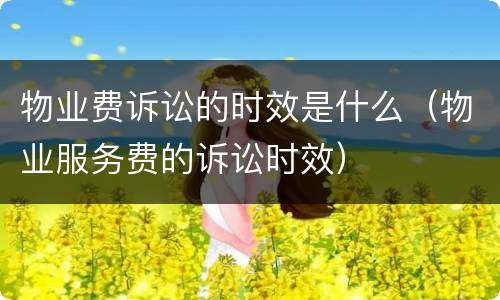 物业费诉讼的时效是什么（物业服务费的诉讼时效）