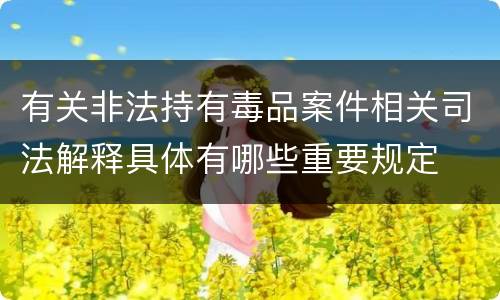 有关非法持有毒品案件相关司法解释具体有哪些重要规定