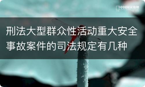 刑法大型群众性活动重大安全事故案件的司法规定有几种