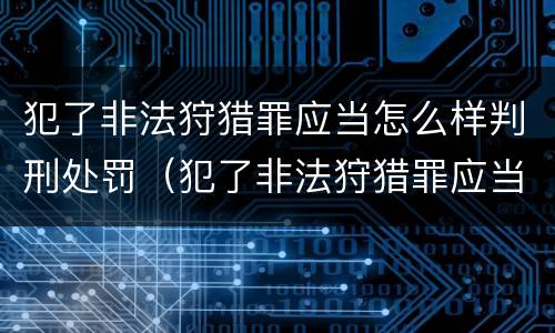 犯了非法狩猎罪应当怎么样判刑处罚（犯了非法狩猎罪应当怎么样判刑处罚标准）