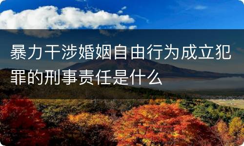 暴力干涉婚姻自由行为成立犯罪的刑事责任是什么