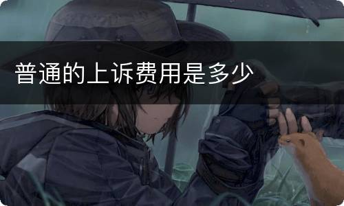 普通的上诉费用是多少