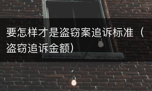 要怎样才是盗窃案追诉标准（盗窃追诉金额）