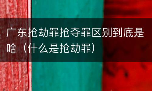 广东抢劫罪抢夺罪区别到底是啥(什么是抢劫罪)