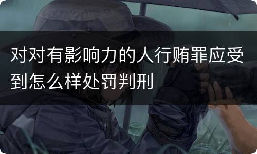 对对有影响力的人行贿罪应受到怎么样处罚判刑