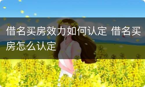 借名买房效力如何认定 借名买房怎么认定