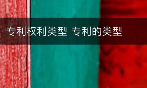 专利权利类型 专利的类型