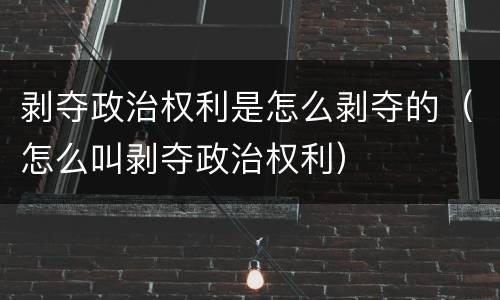 剥夺政治权利是怎么剥夺的（怎么叫剥夺政治权利）