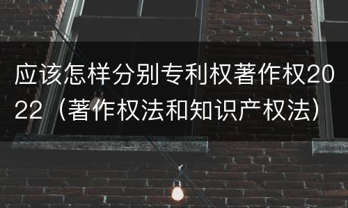 应该怎样分别专利权著作权2022（著作权法和知识产权法）