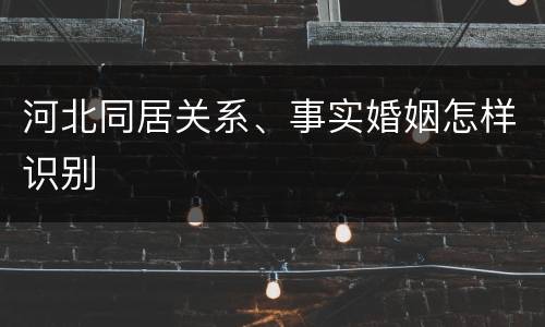 河北同居关系、事实婚姻怎样识别