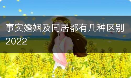 事实婚姻及同居都有几种区别2022