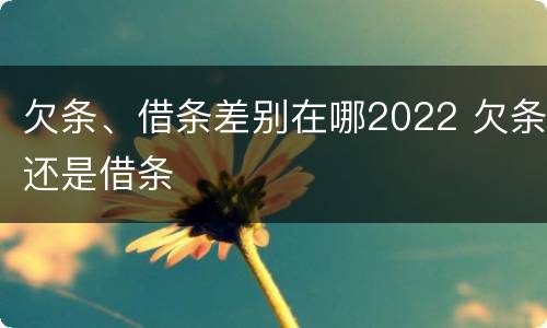欠条、借条差别在哪2022 欠条还是借条