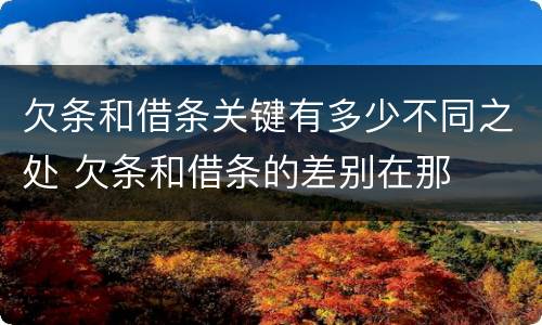 欠条和借条关键有多少不同之处 欠条和借条的差别在那