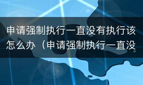 申请强制执行一直没有执行该怎么办（申请强制执行一直没有执行该怎么办理）