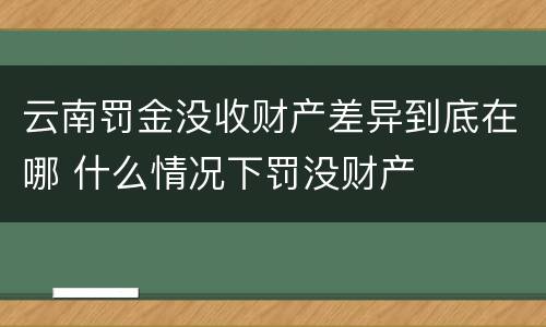 云南罚金没收财产差异到底在哪 什么情况下罚没财产