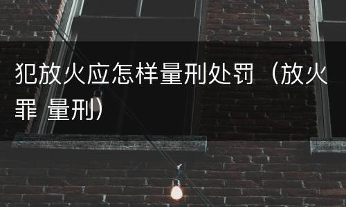 犯放火应怎样量刑处罚（放火罪 量刑）