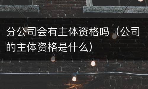 分公司会有主体资格吗（公司的主体资格是什么）
