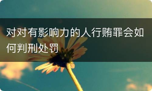 对对有影响力的人行贿罪会如何判刑处罚