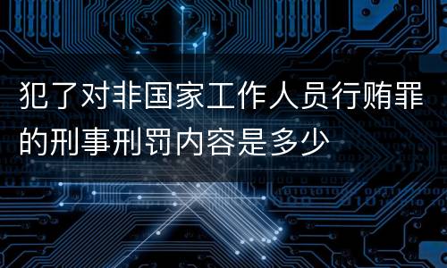 犯了对非国家工作人员行贿罪的刑事刑罚内容是多少
