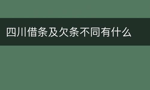 四川借条及欠条不同有什么