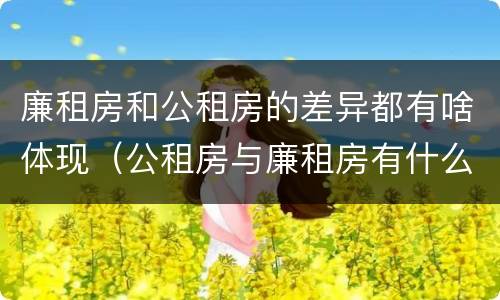 廉租房和公租房的差异都有啥体现（公租房与廉租房有什么不同）