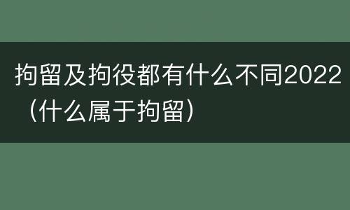 拘留及拘役都有什么不同2022（什么属于拘留）