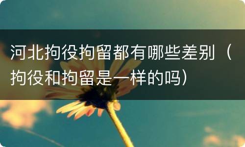 河北拘役拘留都有哪些差别（拘役和拘留是一样的吗）