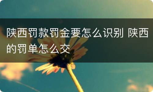 陕西罚款罚金要怎么识别 陕西的罚单怎么交