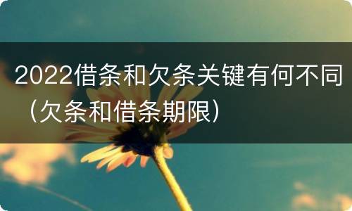 2022借条和欠条关键有何不同（欠条和借条期限）