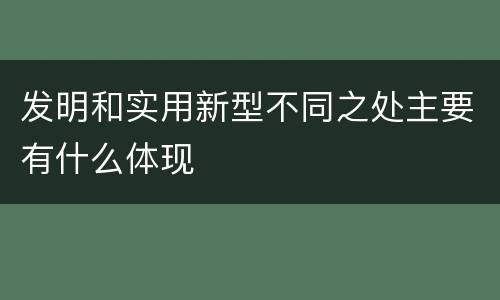 发明和实用新型不同之处主要有什么体现