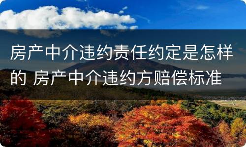 房产中介违约责任约定是怎样的 房产中介违约方赔偿标准