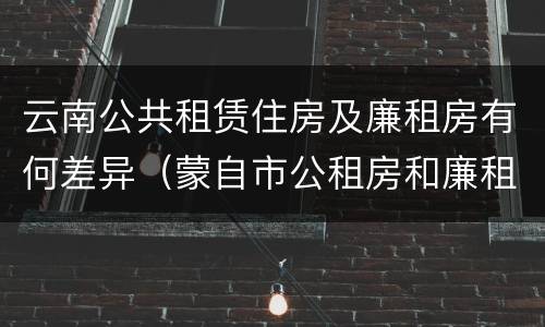 云南公共租赁住房及廉租房有何差异(蒙自市公租房和廉租房)